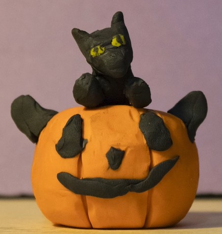 Halloween Cat Video