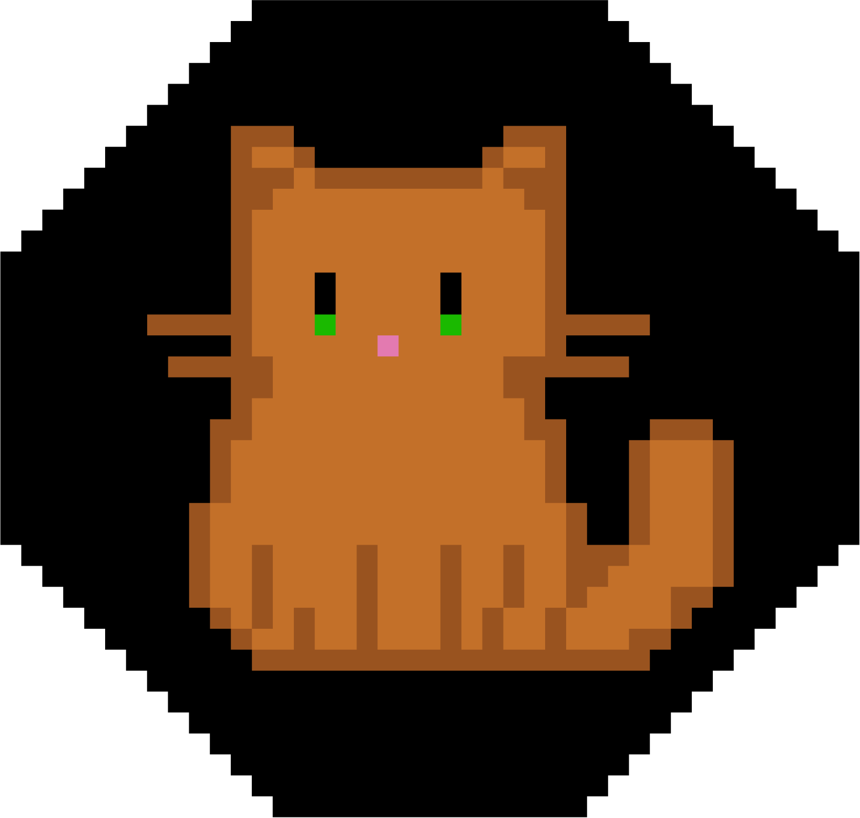 Orange pixal cat with a black background